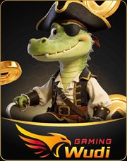 Wudi Gaming